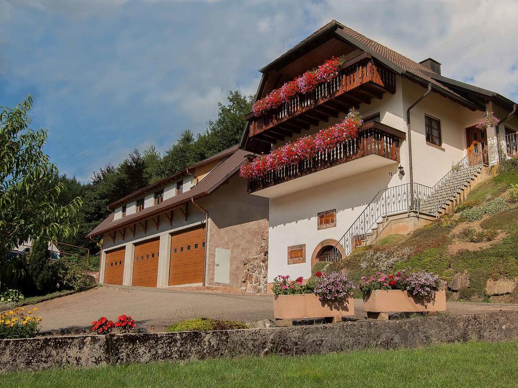 Apartments Zipperhof Lahr  Dış mekan fotoğraf